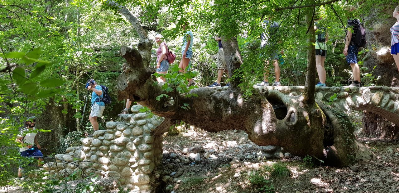 Hostel Host El Greco Kalambaka Zewnętrze zdjęcie